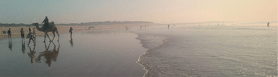 Playa de Essaouira