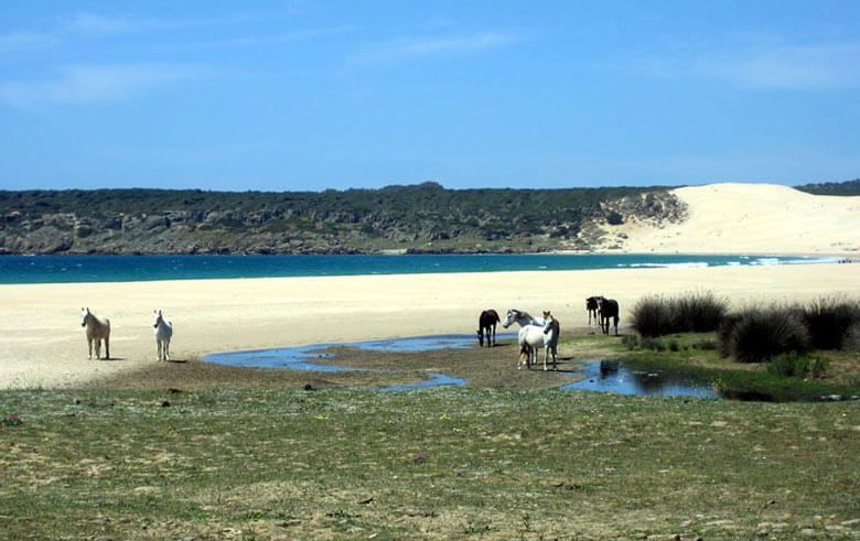 Playa de bolonia, una de las mejores playas del mundo